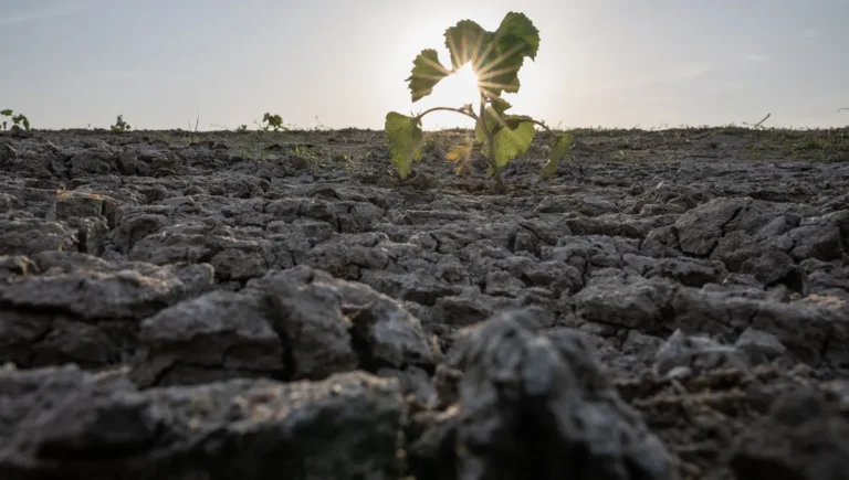Changement climatique : repenser la législation et les projets