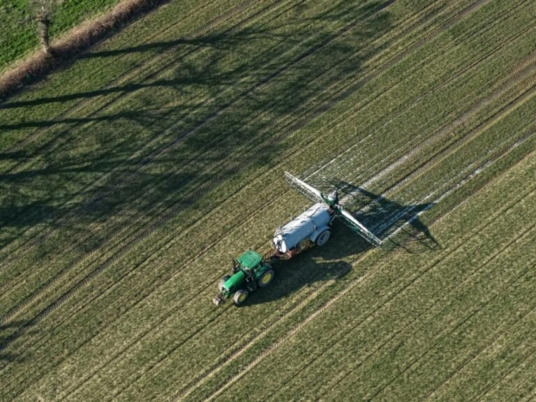 Eau, loup, pesticides… Ce que contient le projet de loi d'urgence agricole