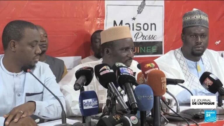 Élections générales en Guinée : plusieurs partis politiques rejettent les résultats provisoires