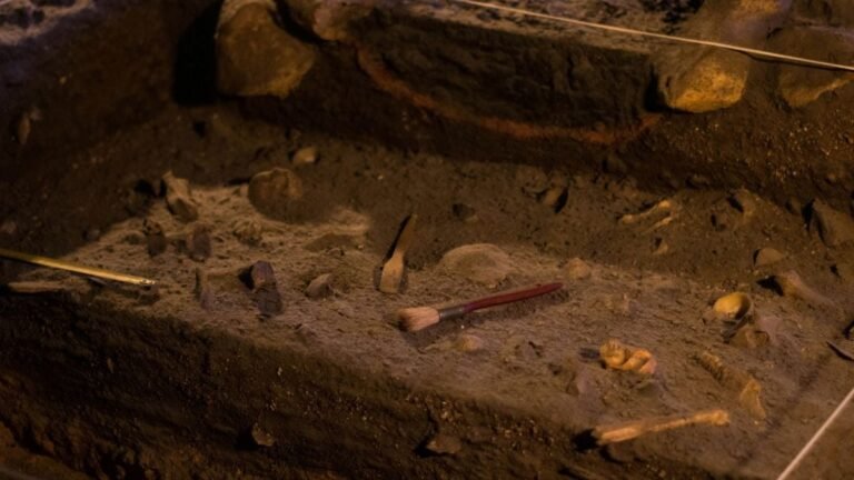 En Écosse, des chercheurs percent un mystère macabre vieux de 2.000 ans