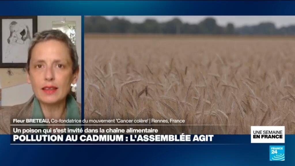 SEMAINE EN FRANCE