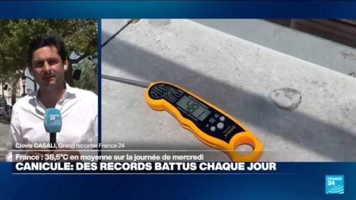 France : des records de températures battus chaque jour, le gouvernement en alerte