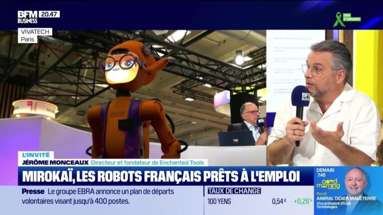 Jérôme Monceaux (Enchanted Tools) : Mirokaï, les robots français prêts à l'emploi – 22/06