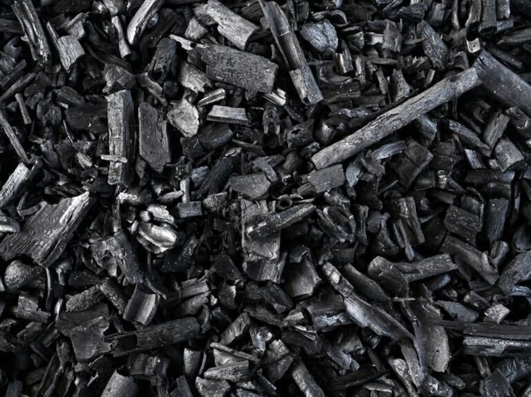 L'élimination du carbone de l'air ne décolle pas et reste "très en deçà des scénarios"