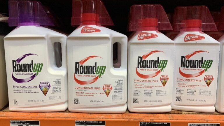 La Cour suprême américaine bloque la voie à des dizaines de milliers de plaintes contre Bayer,  au sujet du risque supposé de cancer lié au Roundup