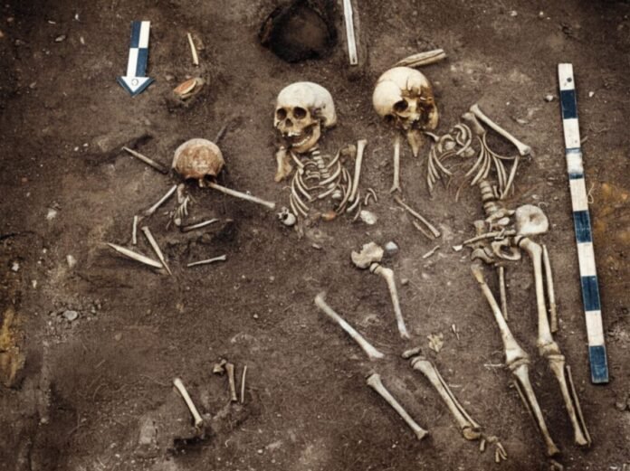 La peste provoquait déjà des épidémies mortelles il y a 5500 ans