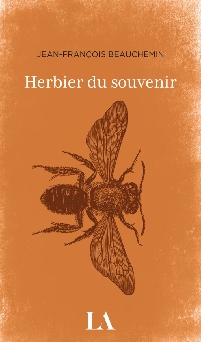La schizophrénie, le deuil et la lente reconquête de la joie La schizophrénie, le deuil et la lente reconquête de la joie