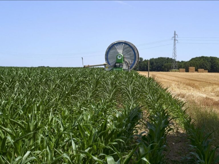 Le TFA est considéré comme "toxique pour la reproduction" par une agence de l’UE