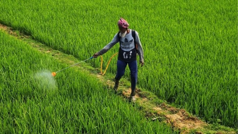 Le glyphosate pourrait contribuer à la création de superbactéries résistantes aux antibiotiques