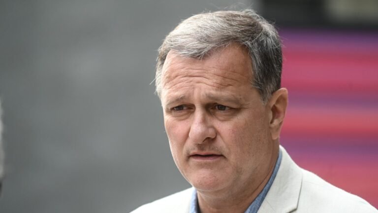 Louis Aliot, le maire RN de Perpignan, dénonce un salut nazi lors d'un vote en conseil municipal et veut saisir la justice