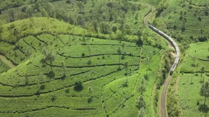 Paysages à couper le souffle, thé noir… À la découverte du train bleu du Sri Lanka