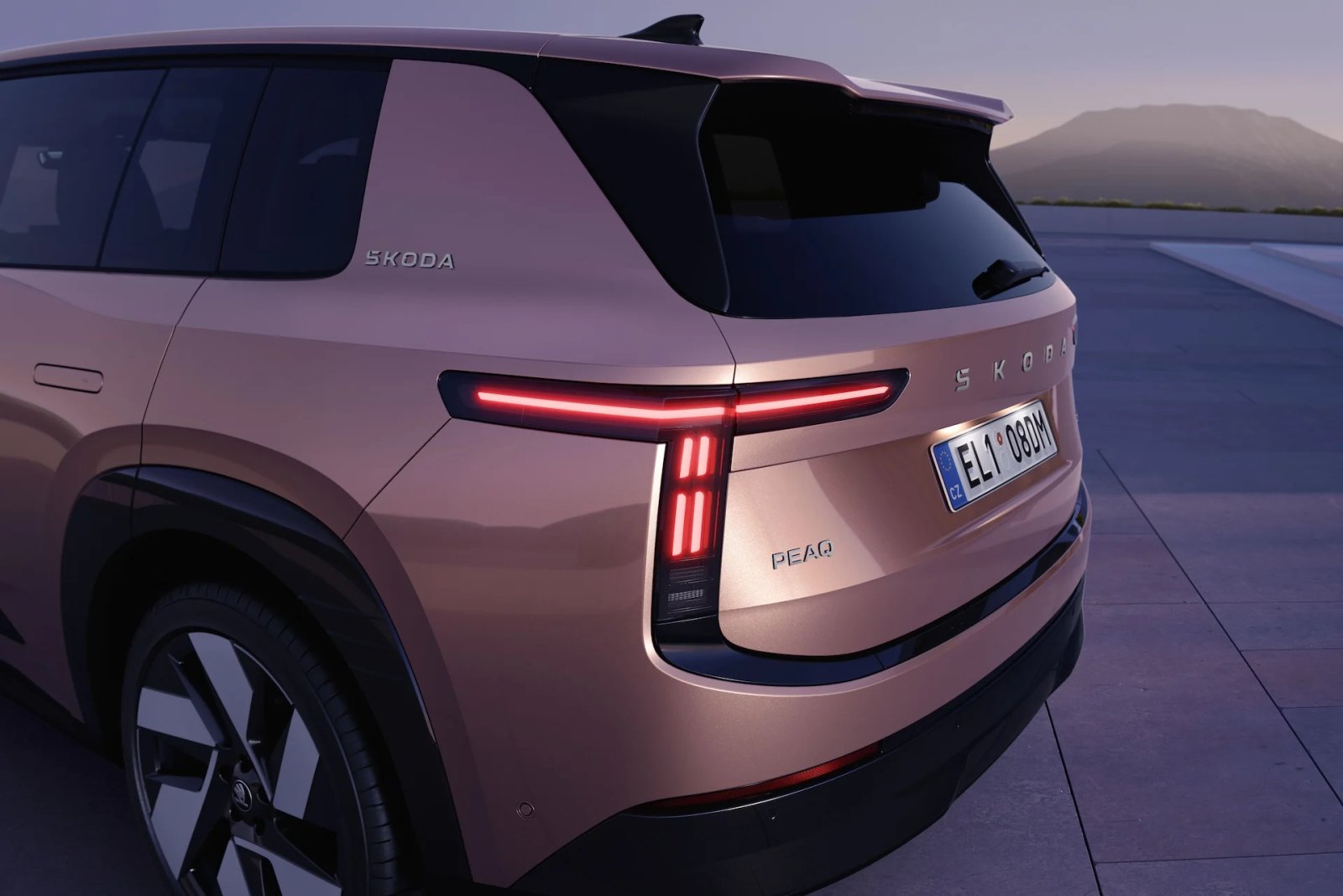 Peaq 010 Rear Lights