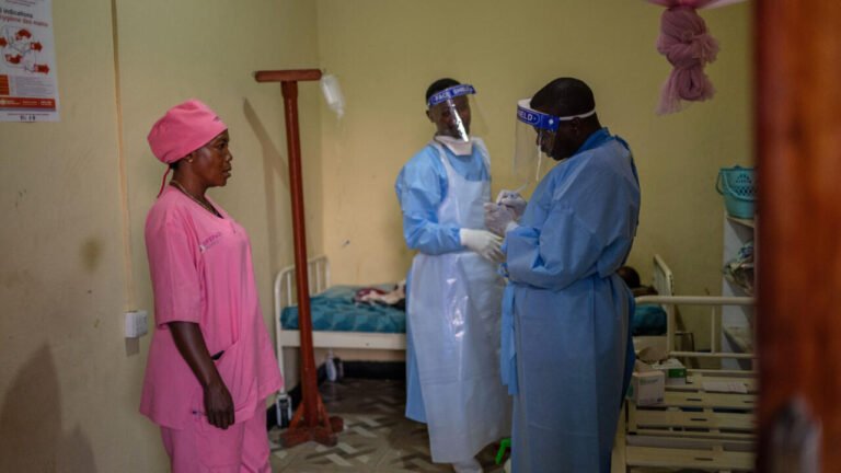 Plus de 1 100 cas d'Ebola suspects, deux hommes placés à l'isolement au Brésil