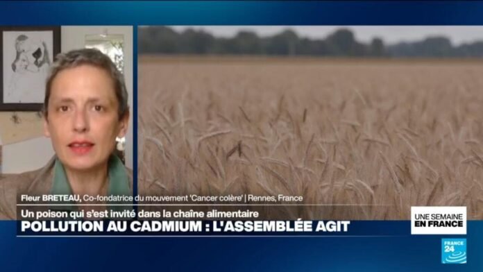 Pollution au cadmium : un texte adopté par les députés pour limiter l’exposition de la population