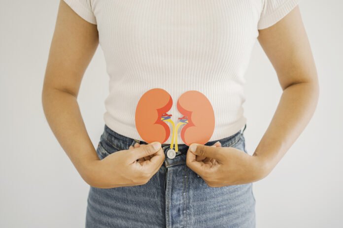 Pourquoi le diabète et l'hypertension artérielle sont-ils les deux principaux responsables de la destruction de vos reins ?