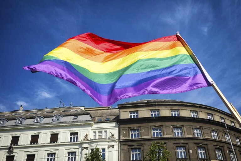 Silence imposé aux bibliothèques sur les Fiertés LGBT+ et histoire des Noirs