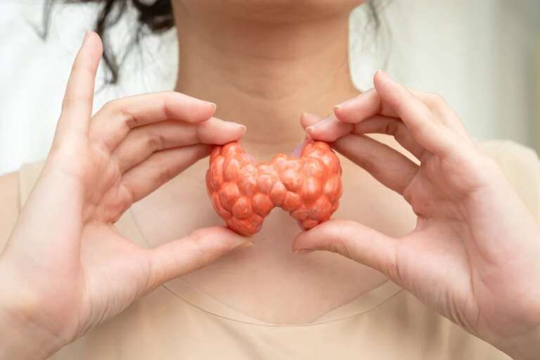 Thyroïde : les 5 meilleurs aliments pour la protéger après 50 ans