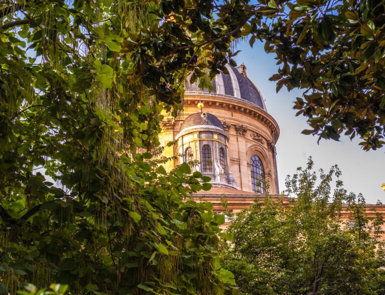 Tous les lauréats des Prix de l’Académie française 2026