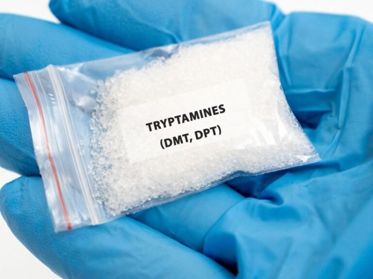 Tryptamine : sept dérivés synthétiques de cette substance hallucinogène interdits en France