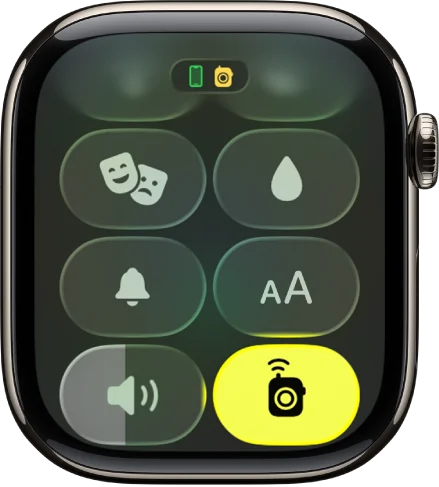 Apple Watch watchOS Talkie Walkie 2