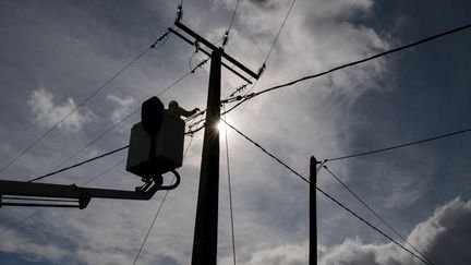 Un technicien d'Enedis intervient sur une ligne électrique. Photo d'illustration. (LOIC VENANCE / AFP)