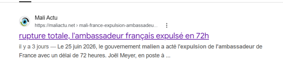 Une capture d’écran de l’aperçu de l'article de Mali Actu sous Google réalisée le 29 juin 2026.