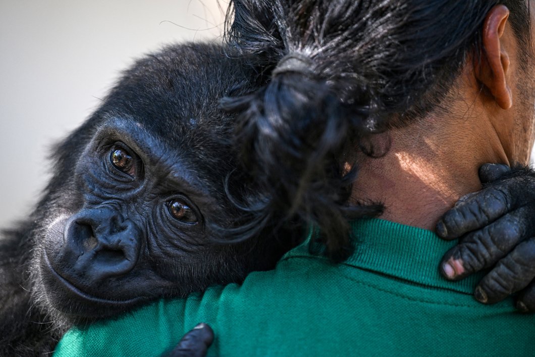 Ozan Kose / AFP
