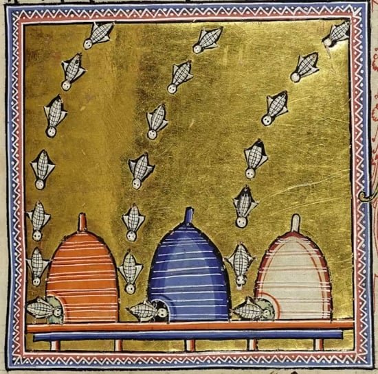 Illustration tirée du Bestiaire d'Aberdeen, rédigé et enluminé en Angleterre vers 1200. | Bibliothèque de l'université d'Aberdeen (Écosse) / CC BY-SA 4.0