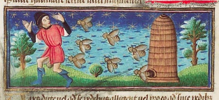 Des poursuites judiciaires pouvaient être engagées contre les apiculteurs dont les abeilles piquaient des passants. Illustration tirée d'un bestiaire médiéval français du XVe siècle, conservé au musée Meermano de La Haye (Pays-Bas). | The Medieval Bestiary / CC BY-SA 4.0