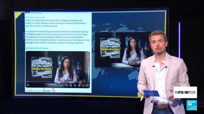 "Biolabs" en Ukraine : Tulsi Gabbard relance la rumeur