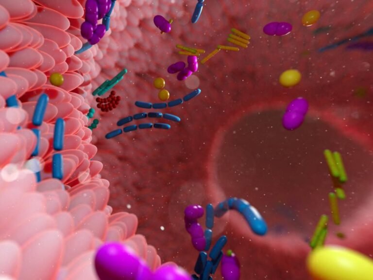 "Nous cherchons à combler un angle mort" : pourquoi le microbiote des enfants intrigue les chercheurs