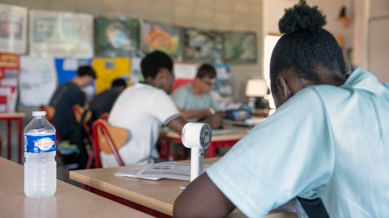 "On est largement en retard" : qu'ont fait les différents gouvernements pour adapter la France aux fortes chaleurs depuis la canicule de 2003 ?