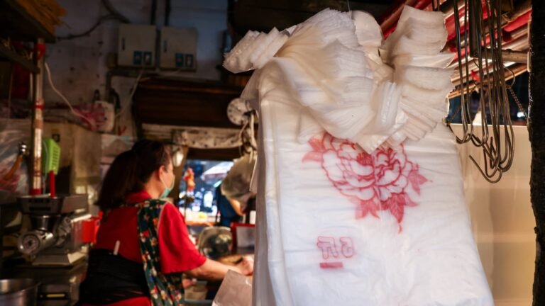"Si on en donne pas, les clients se plaignent": en Asie, les commerçants sont étranglés par la flambée de 60% du prix des sacs plastiques à cause de la guerre au Moyen-Orient