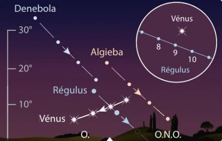 Position de Vénus du 1er au 31 juillet, une heure après le coucher du Soleil, devant les étoiles principales du Lion. En médaillon: rapprochement entre Vénus et Régulus du 7 au 11, vu aux jumelles.