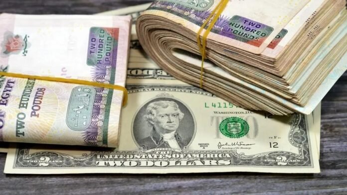 الدولار يشعل الجدل في مصر.. وخبير يفجر مفاجأة لـRT بشأن "السعر العادل" الدولار يشعل الجدل في مصر.. وخبير يفجر مفاجأة لـRT بشأن "السعر العادل"