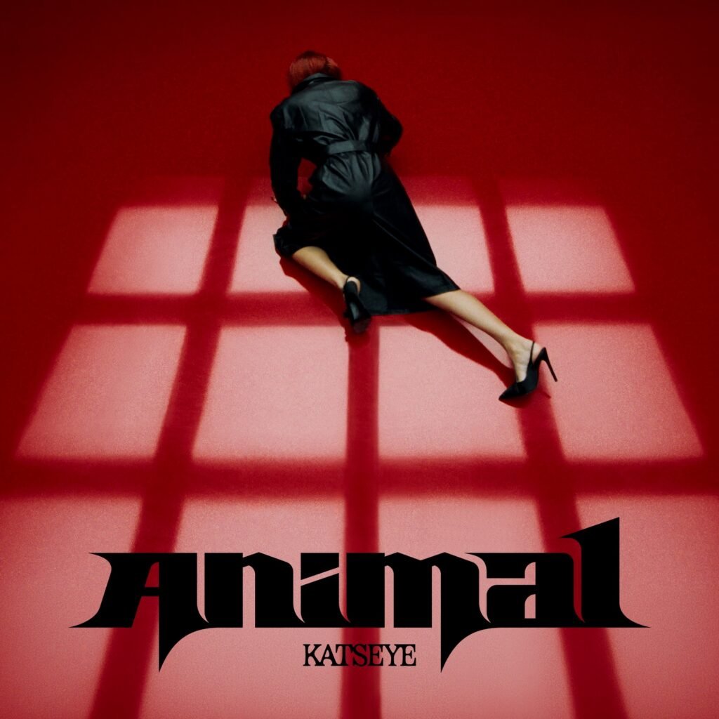Pochette du single Animal de KATSEYE