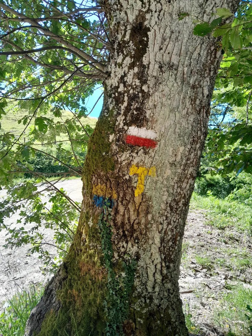 Le tau franciscain, en jaune, sert de balisage tout au long du voyage sur le chemin Di qui passo Francesco, jusqu’à Assise.