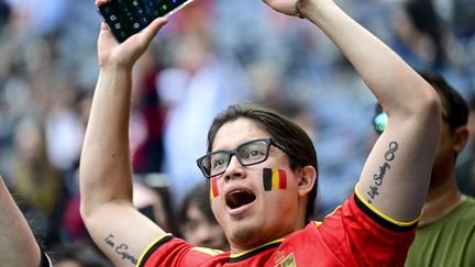 Un supporter belge pendant le match Belgique-Sénégal, le 1er juillet 2026 à Seattle (Etats-Unis). (DIRK WAEM / BELGA / SIPA)