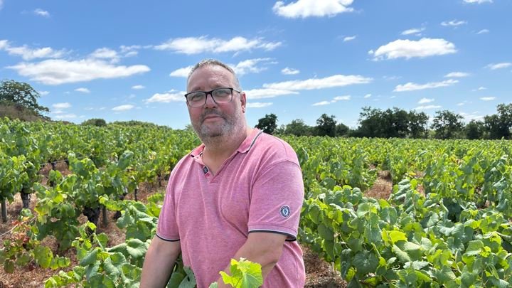 Hugues Brochard, viticulteur, dans ses vignes à Maisdon-sur-Sèvre (Loire-Atlantique), en juillet 2026. (EDOUARD MARGUIER / FRANCEINFO / RADIO FRANCE)
