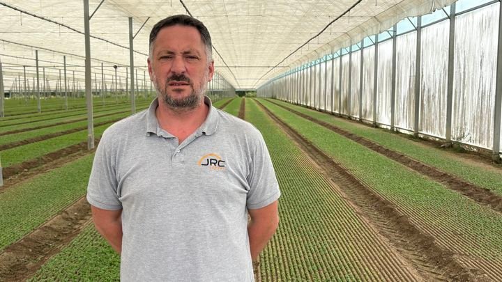Le maraîcher Régis Chevallier dans une de ses serres à La Planche (Loire-Atlantique), en juillet 2026. (EDOUARD MARGUIER / FRANCEINFO / RADIO FRANCE)