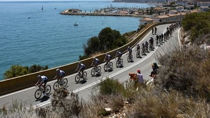 Le peloton du Tour de France lors de la deuxième étape entre Tarragone et Barcelone (Espagne), le 5 juillet 2026. (ANNE-CHRISTINE POUJOULAT / AFP)