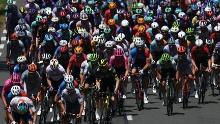 Le peloton du Tour de France lors de la 6e étape entre Pau et  Gavarnie-Gèdre le 9 juillet 2026. (ANNE-CHRISTINE POUJOULAT / AFP)