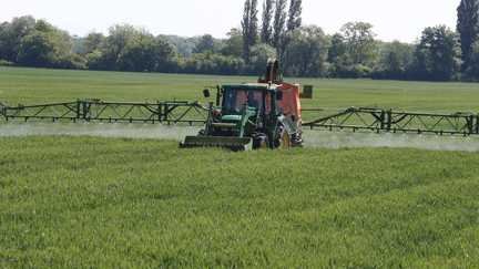 La loi dite d'urgence agricole prévoit notamment la possible réintroduction de deux pesticides: l'acétamipride et le flupyradifurone. (Hervé KIELWASSER / MAXPPP)