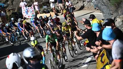Le peloton dans l'ascension de l'Alpe d'Huez lors de 19e étape du Tour de France 2022, le 14 juillet 2022. (ANNE-CHRISTINE POUJOULAT / AFP)