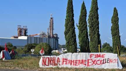 Des salariés protestent contre la fermeture de l'usine de pâte à papier Fibre Excellence, le 29 juillet 2026, à Tarascon (Bouches-du-Rhône). (SYLVAIN THOMAS / AFP)