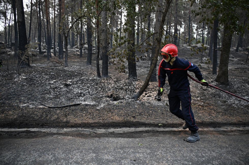 Un pompier en intervention à la suite d'un feu de forêt dans la région de la forêt de Fontainebleau, au sud de Paris, le 14 juillet 2026