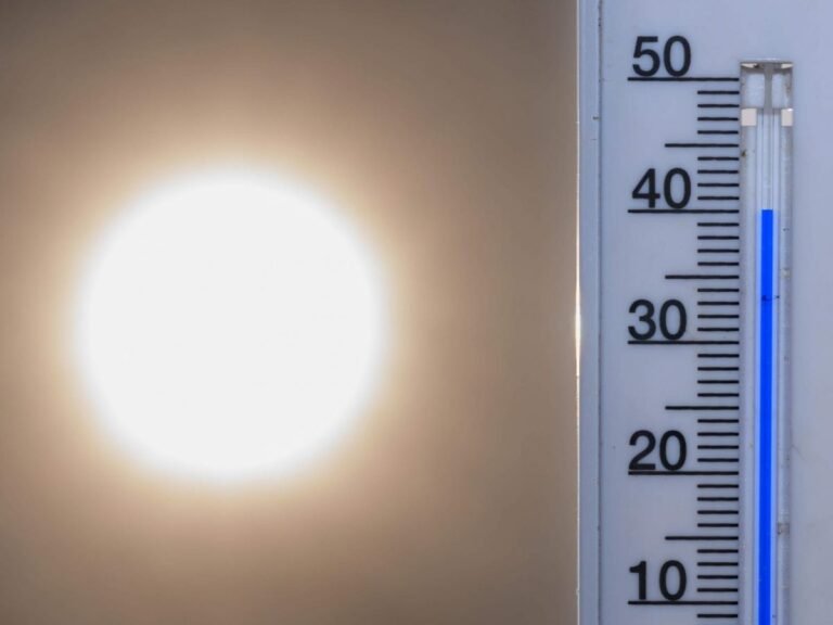 Climat: la France "n'est pas prête" juge le Haut Conseil pour le climat