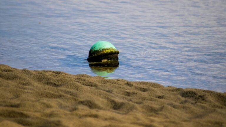 De mystérieuses «sphères spatiales» échouées sur une plage australienne contiendraient un liquide toxique