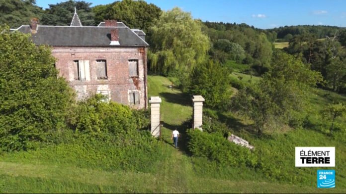 Des entrepreneurs fortunés achètent des forêts pour ne rien en faire