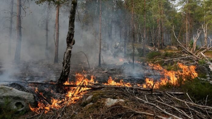 Emmanuel Macron se rendra jeudi matin à Fontainebleau, gravement touché par deux incendies